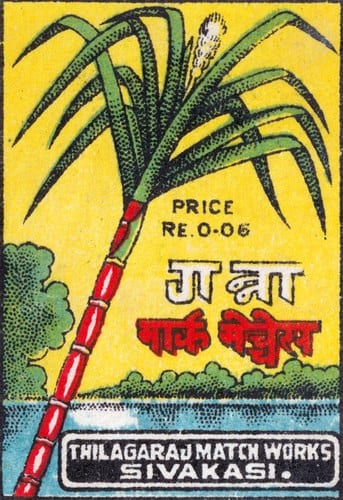 A matchbox label on a yellow ground: a tall sugarcane plant with a red and white banded stalk and green leaves, the name गन्ना in Devanagari beside it, PRICE RE.0-06 above, a band of blue water at the foot, and THILAGARAJ MATCH WORKS, SIVAKASI along the bottom.